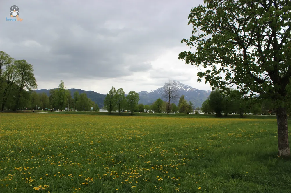 Mondsee 24