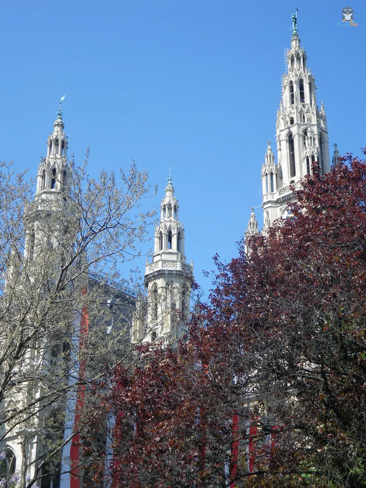 Viena_Ayuntamiento_9