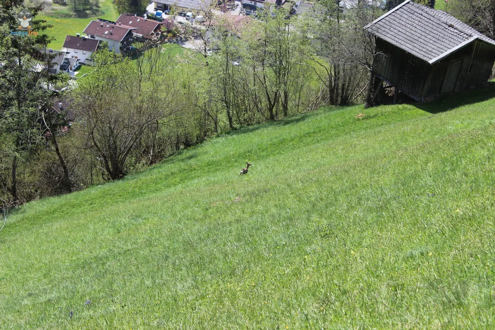 Neustift Trekking 12