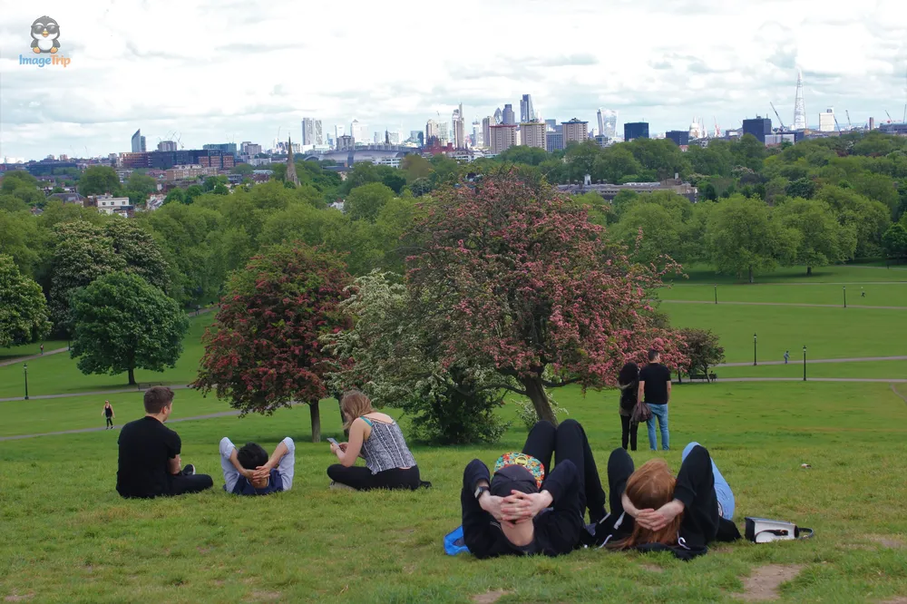 Primrose Hill 11
