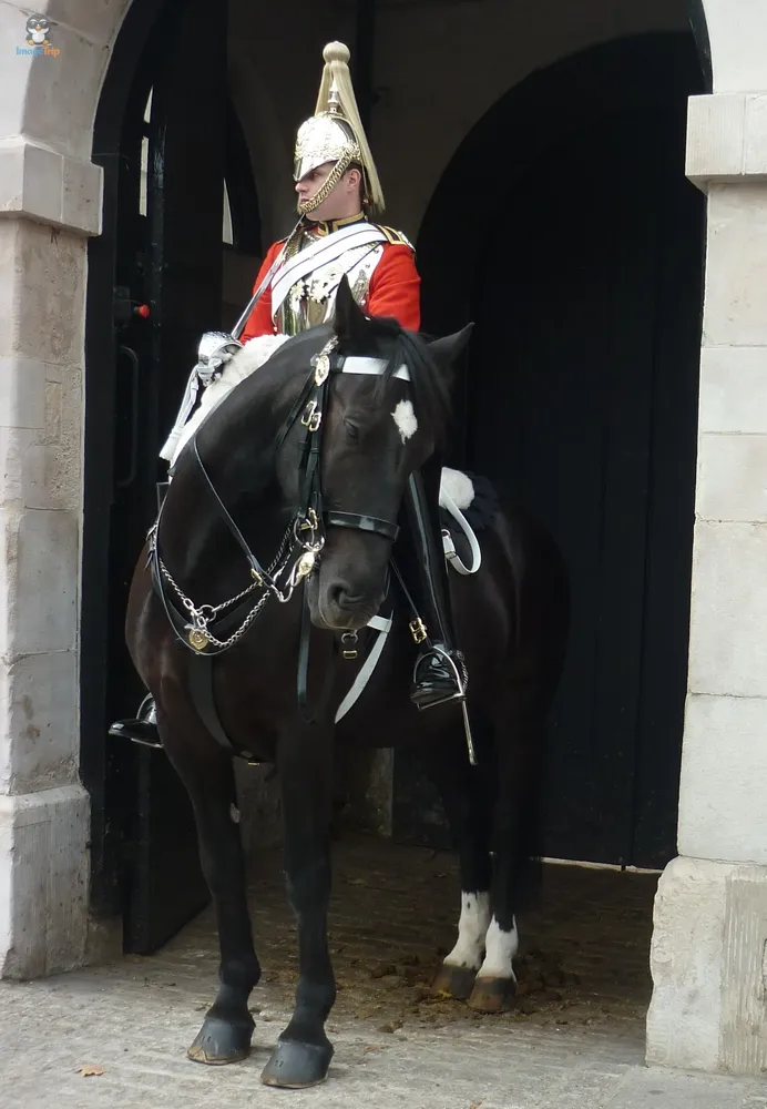 Horse Guard Parade 9