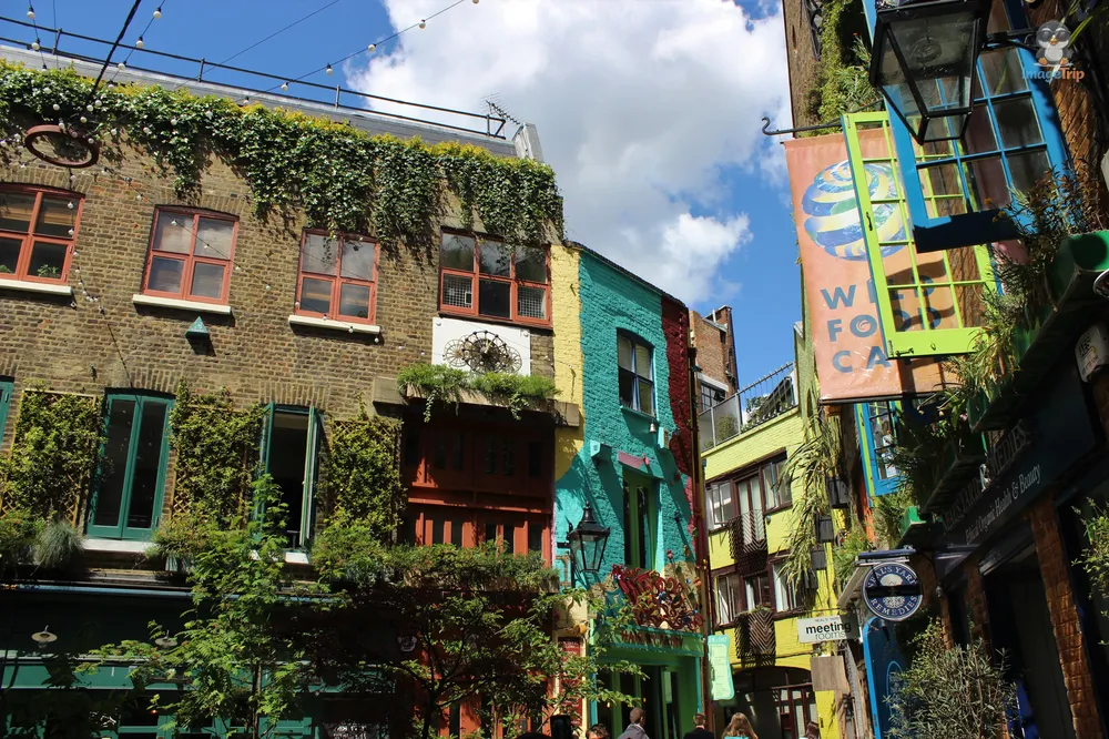 Neals Yard 7