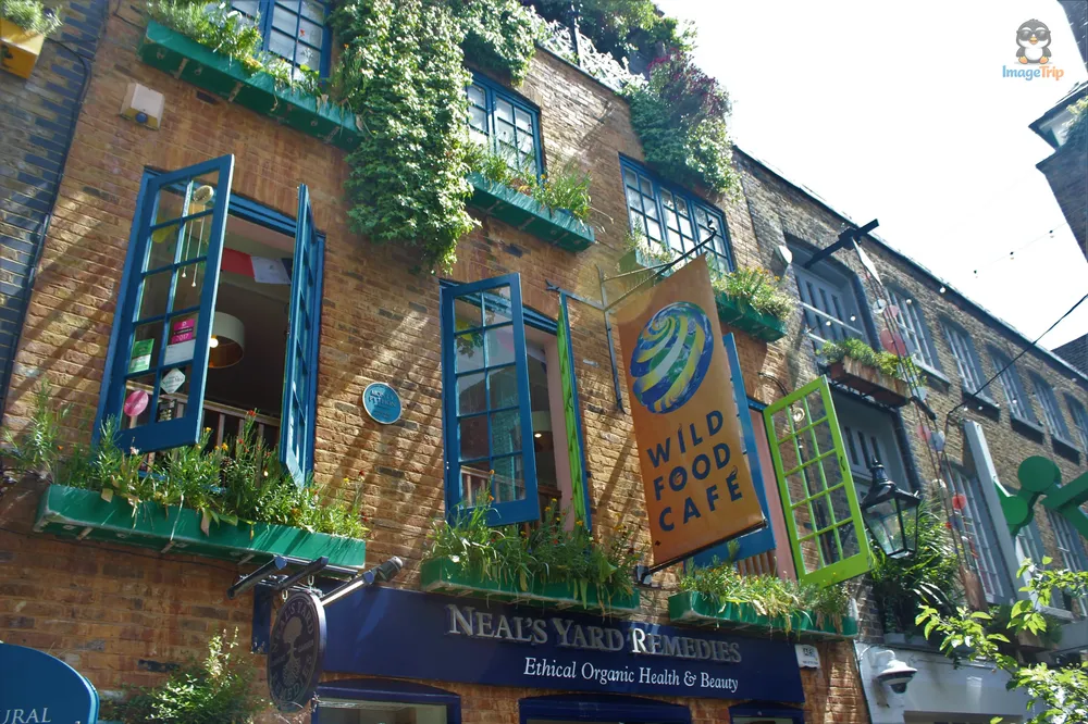 Neals Yard 4