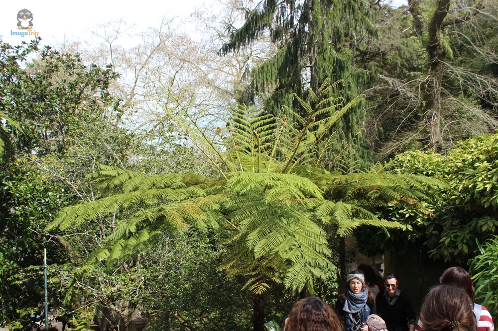Sintra_QuintaDaRegaleira_49