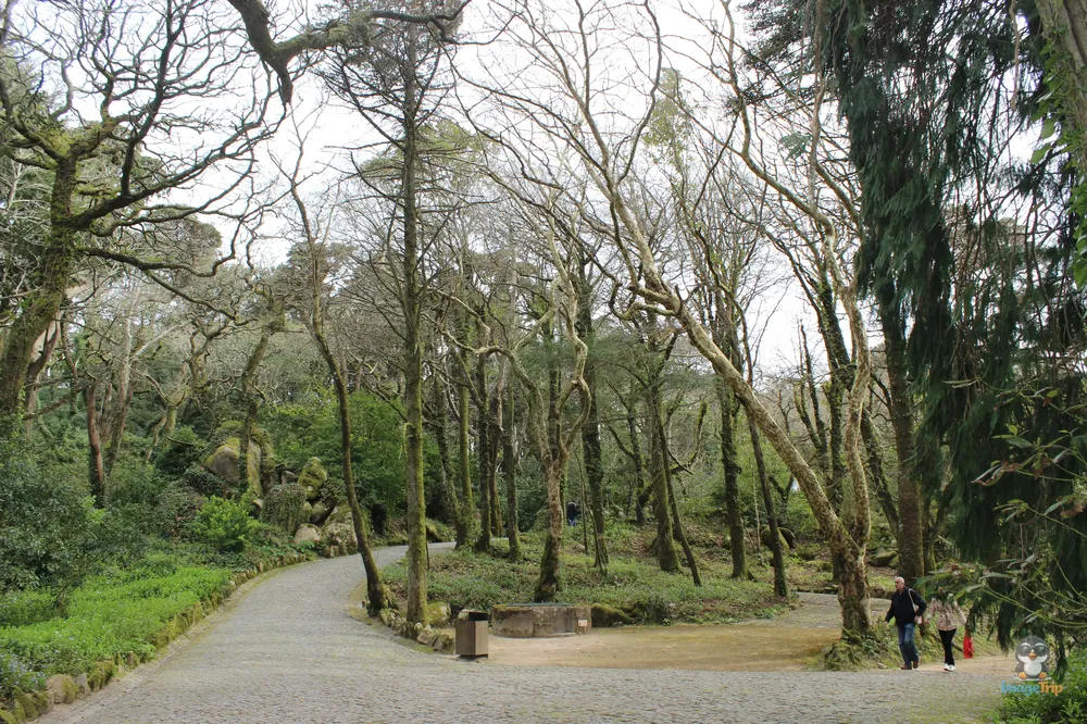 Sintra_PalacioDaPena_45