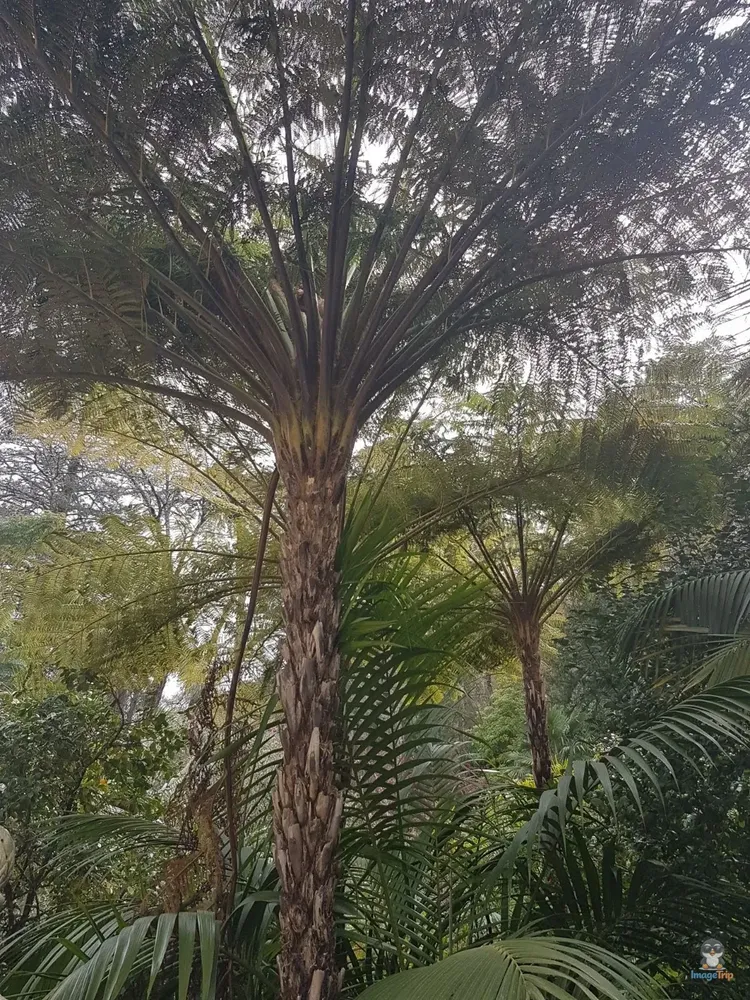 Sintra_ParquedaLiberdade_6