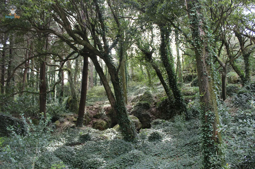 Sintra_PalacioDaPena_47