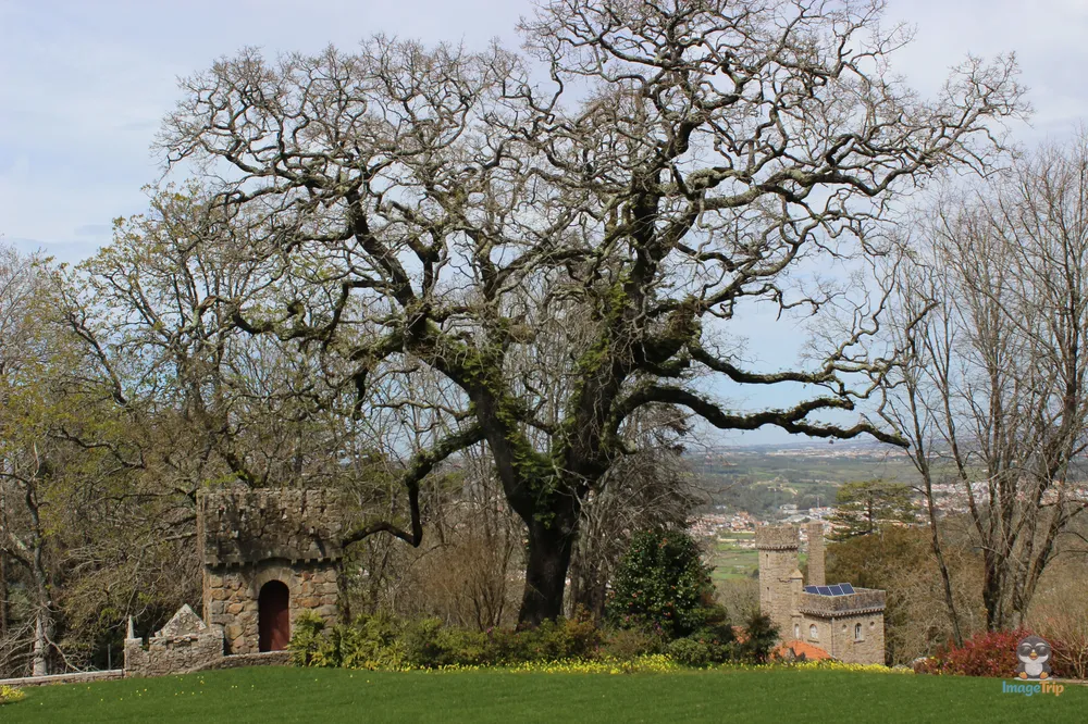 Sintra_QuintaDaRegaleira_11