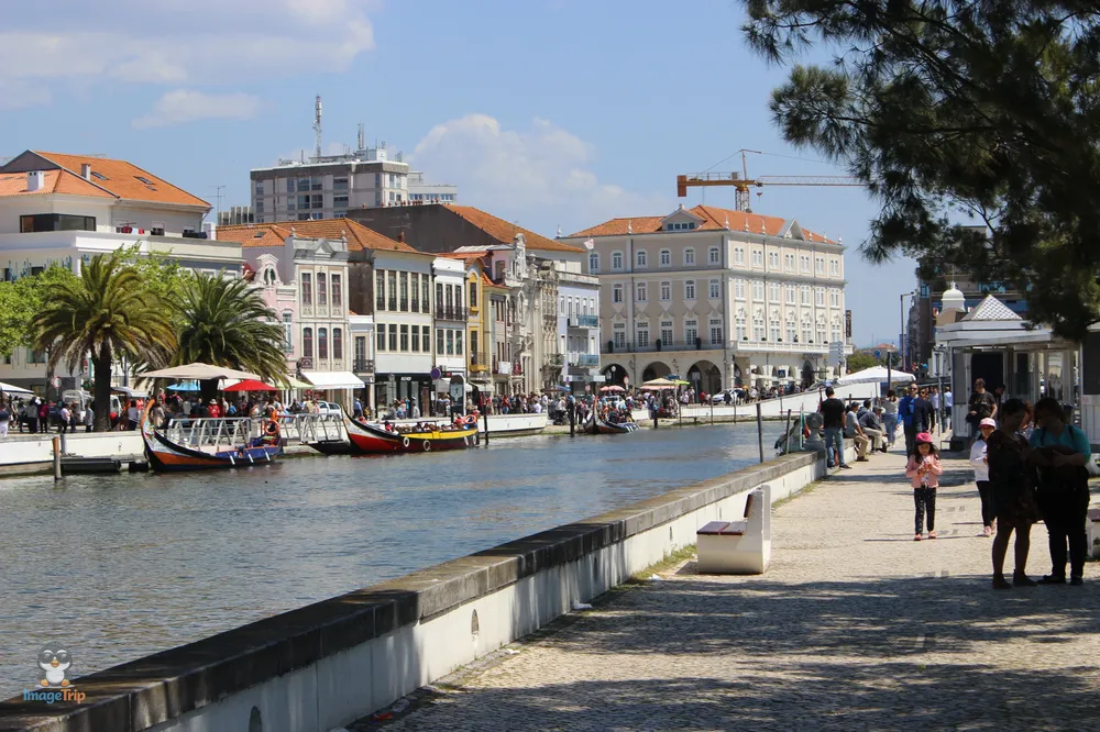 Aveiro 6
