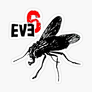 Eve6