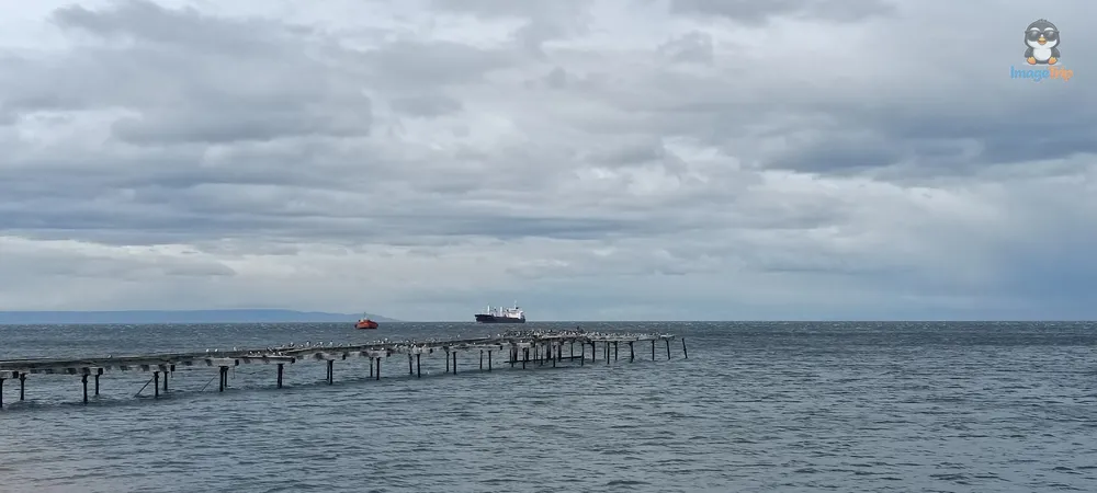 PuntaArenas_Costanera_11