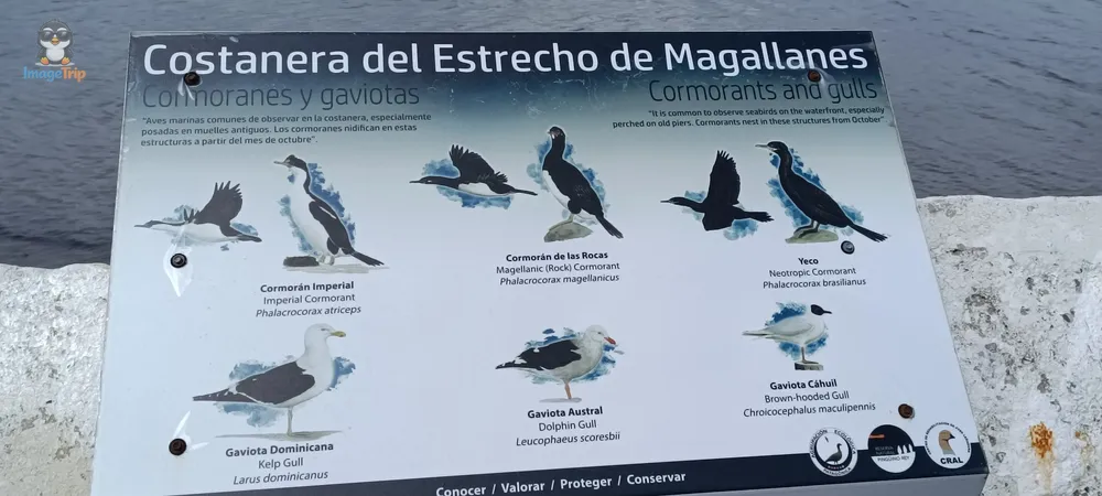 PuntaArenas_Costanera_13