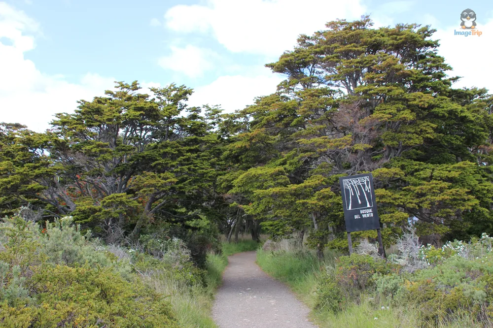 FuerteBulnes_46