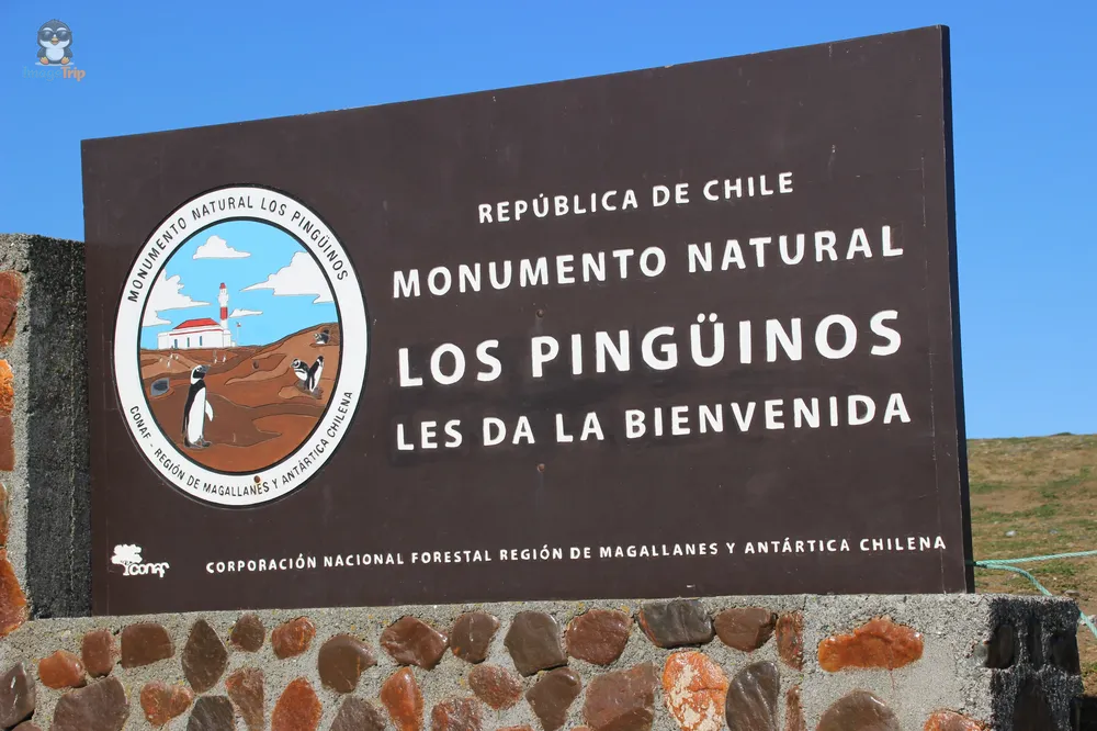 Pingus_6