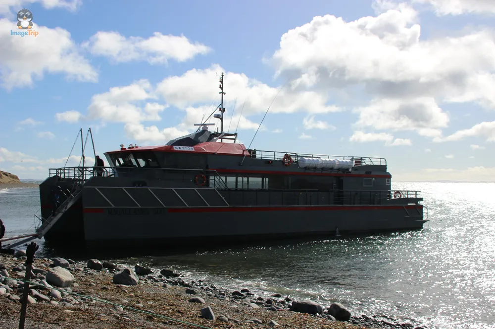 Pingus_89