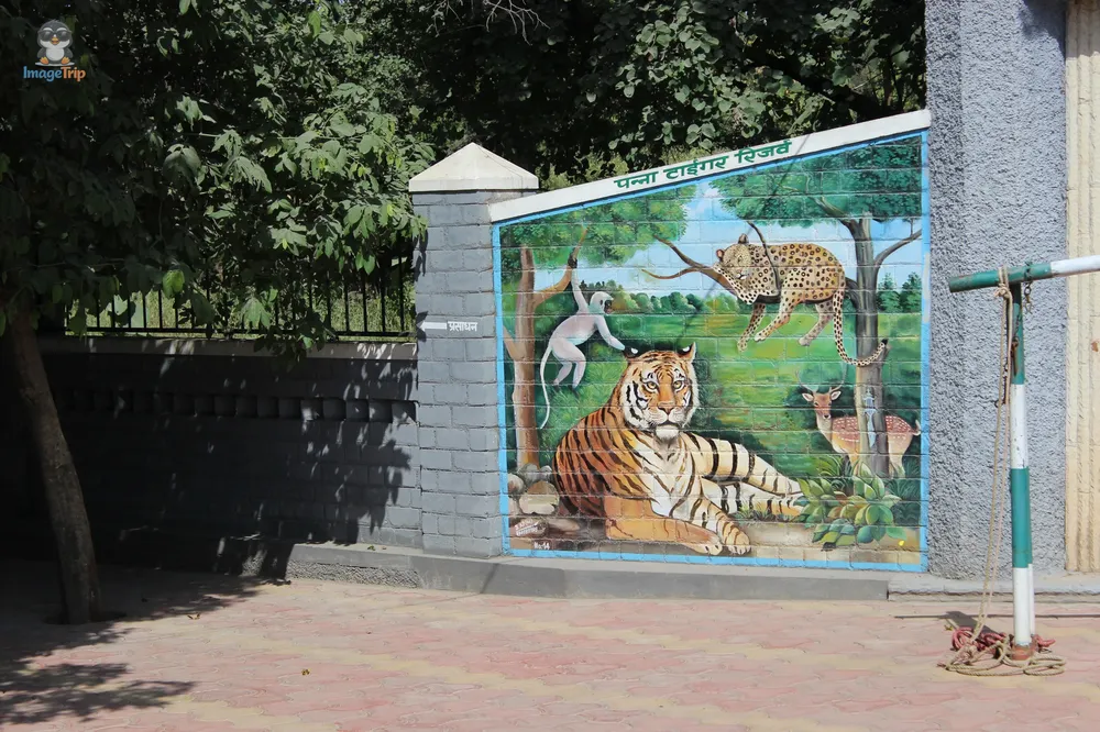 PannaTigerReserve_112