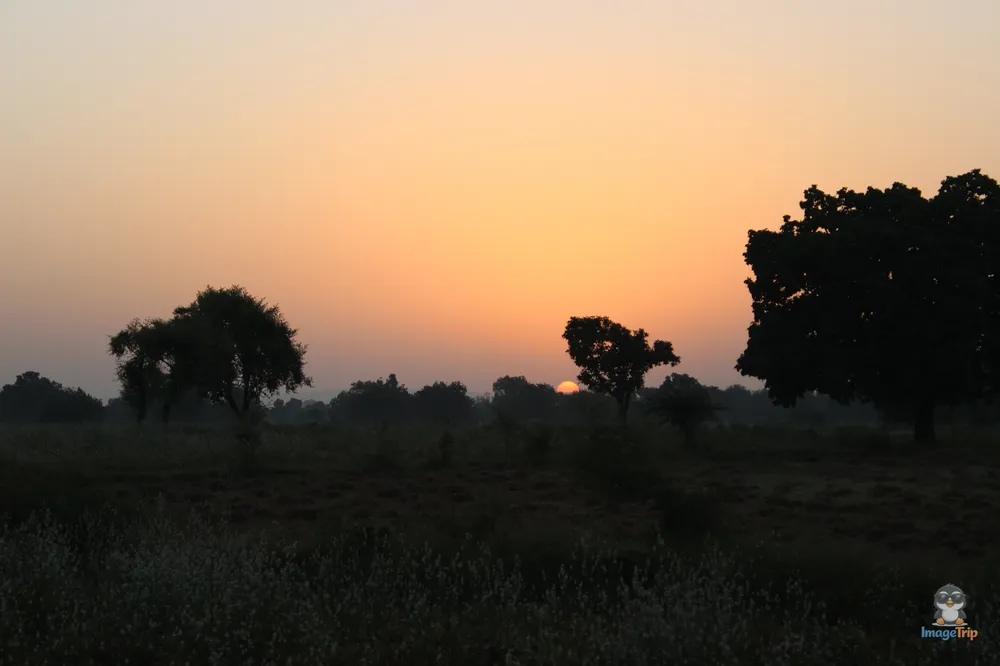 PannaTigerReserve_30