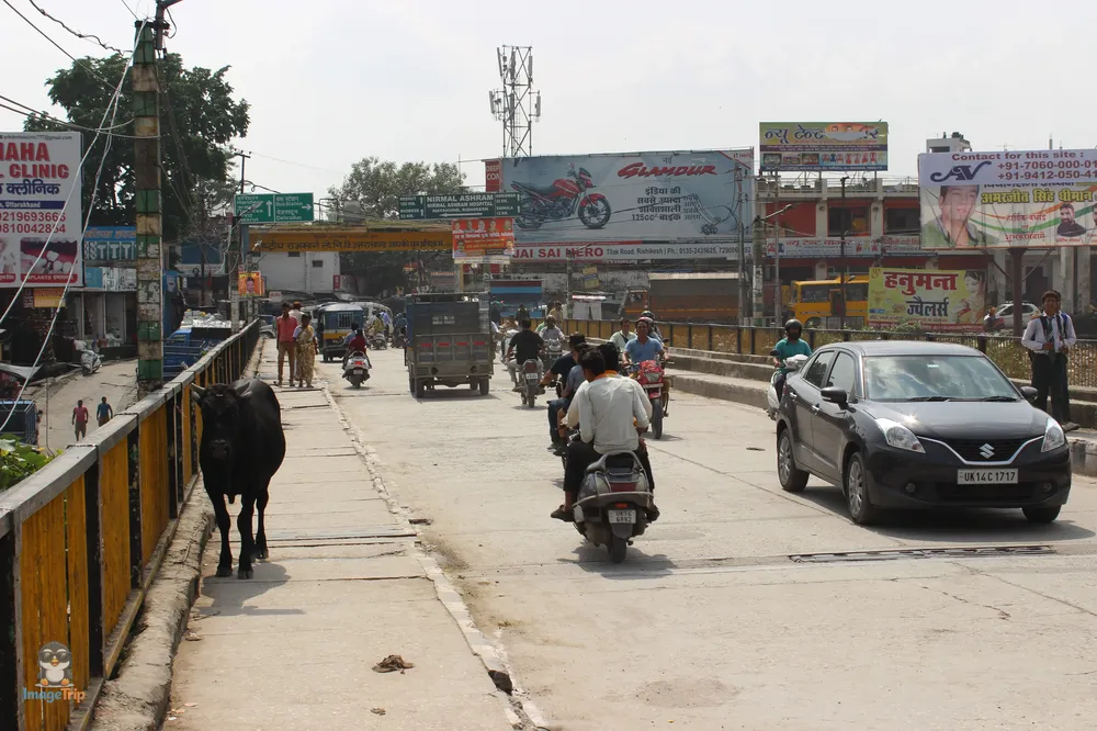 SriHemkuntSahibTrust_2