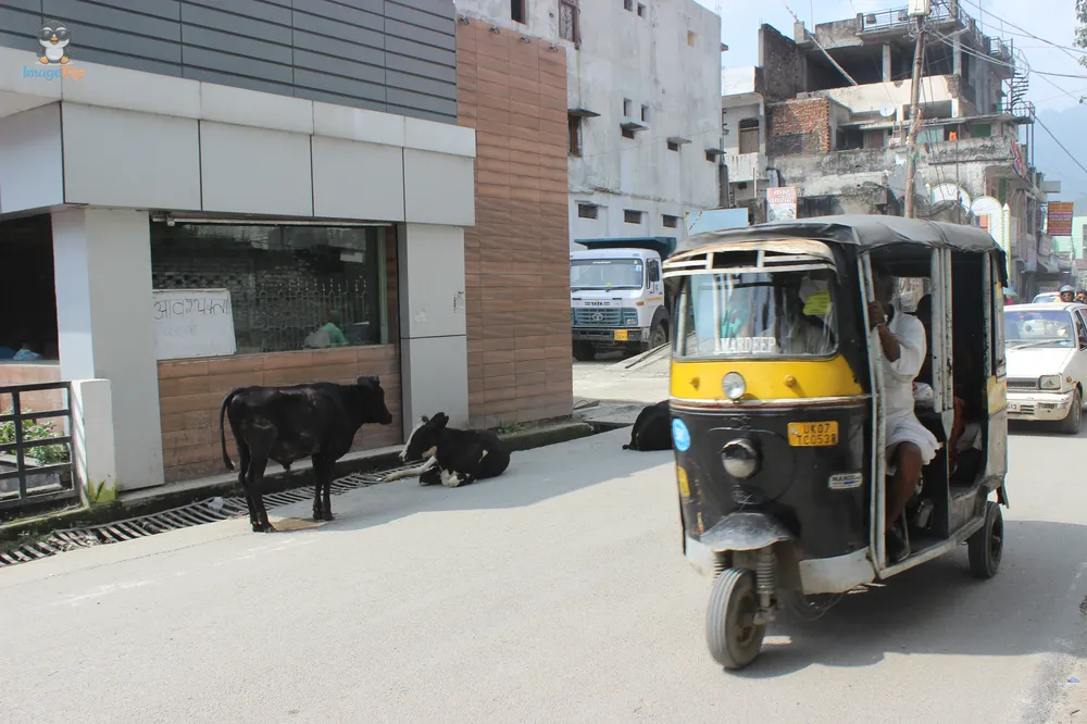 SriHemkuntSahibTrust_8