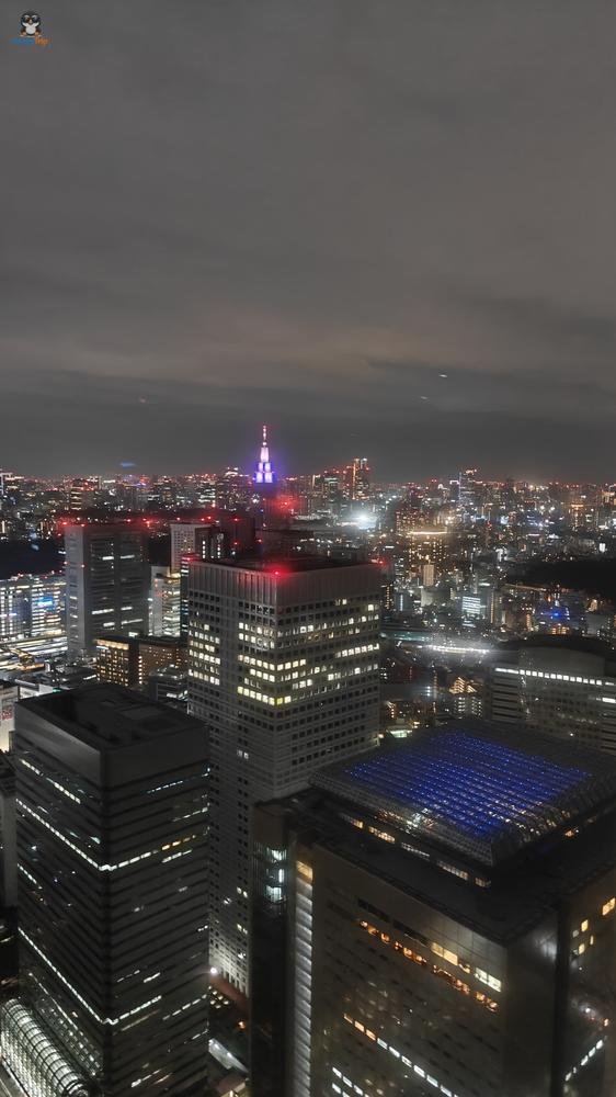 GatoShinjuku 3