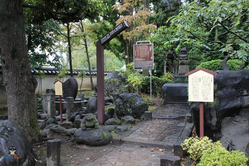 SensoJi 2