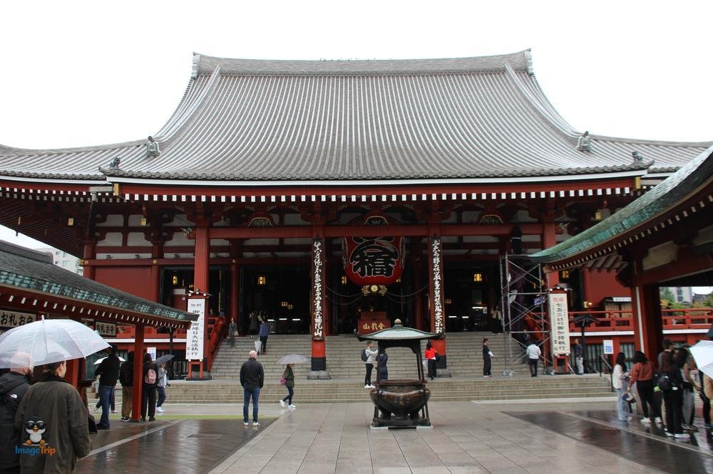 SensoJi 1