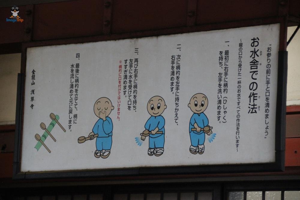SensoJi 5