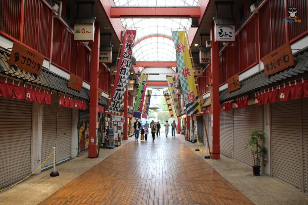 SensoJi 3