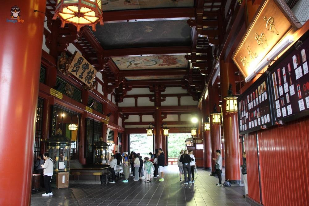 SensoJi 3
