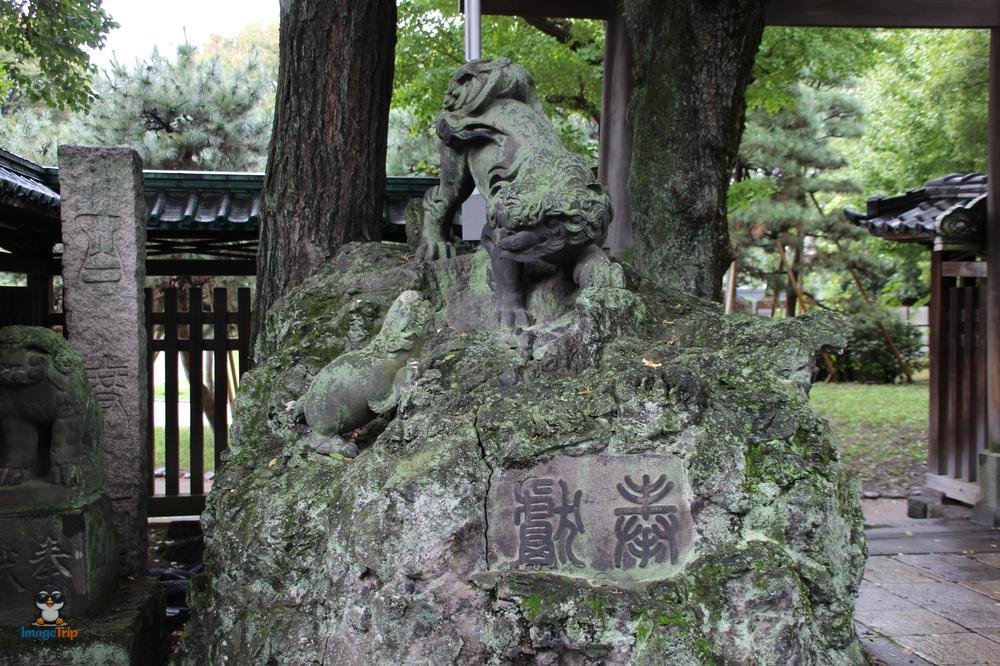 SensoJi 2