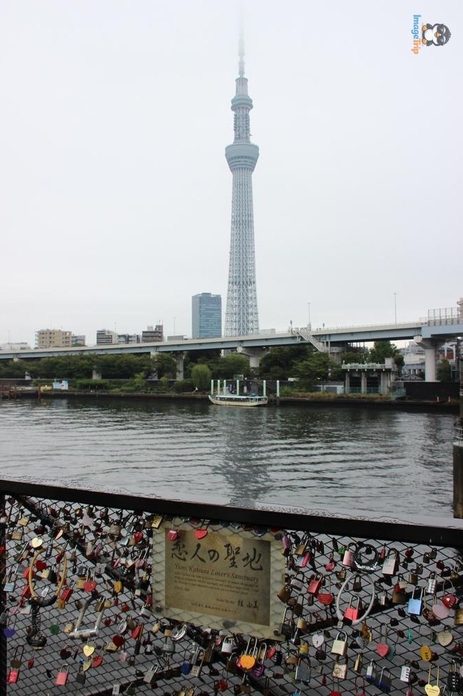 SensoJi 1