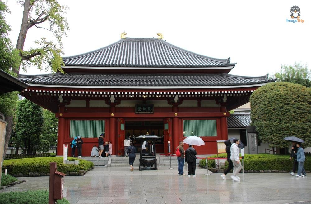 SensoJi 1