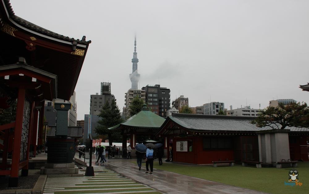 SensoJi 2