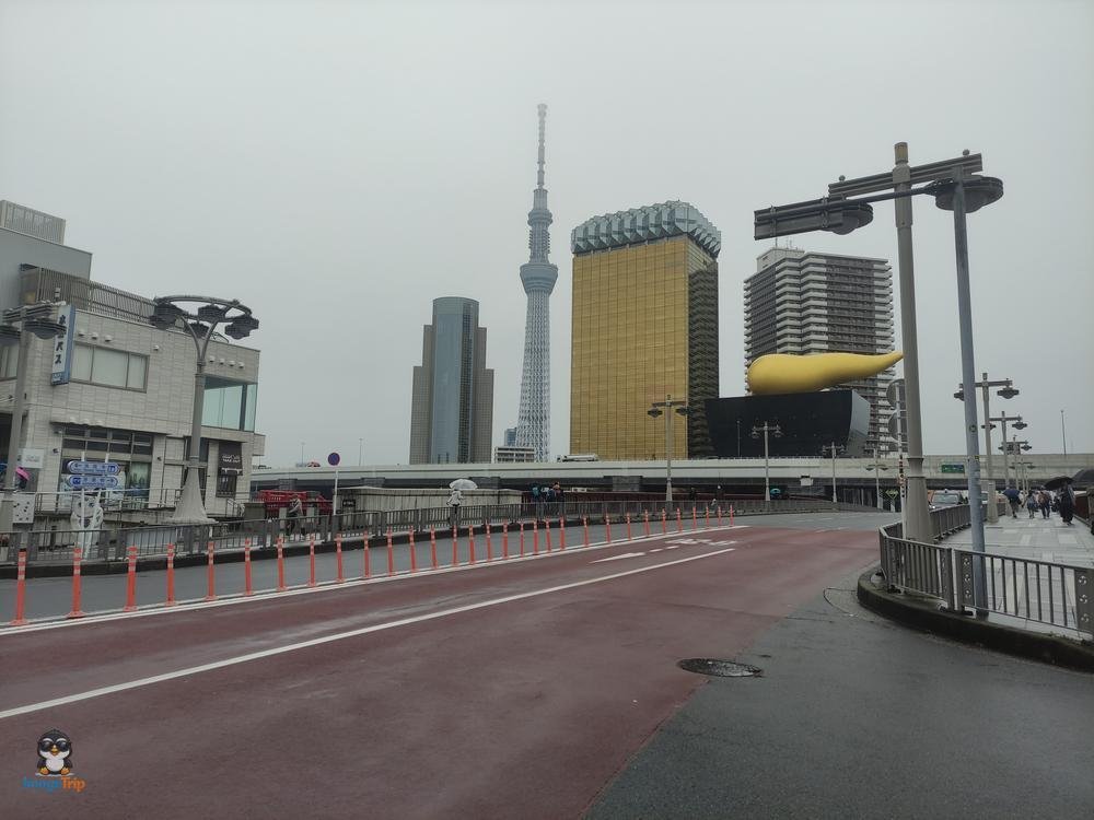 SensoJi 1
