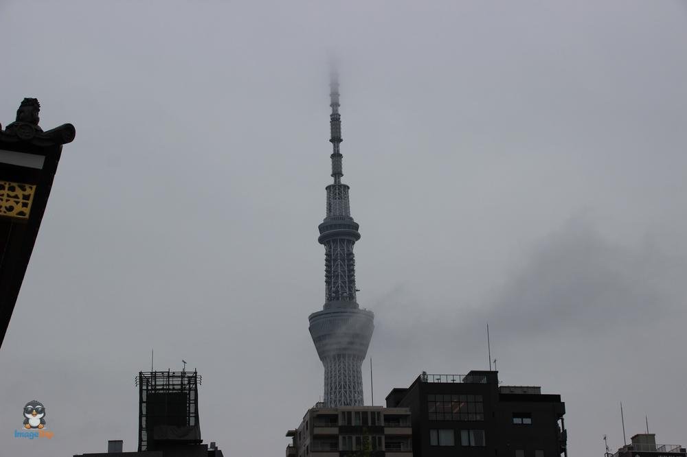 SensoJi 3