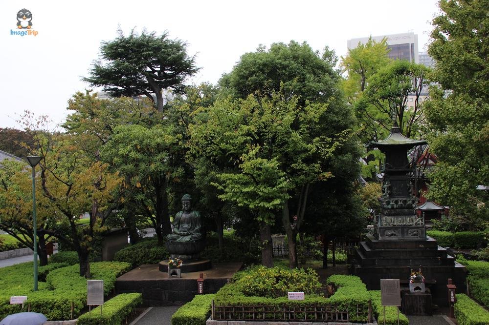 SensoJi 2