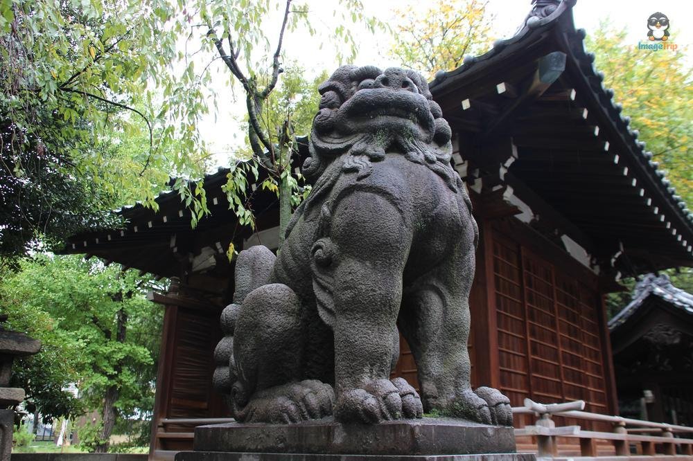 SensoJi 2