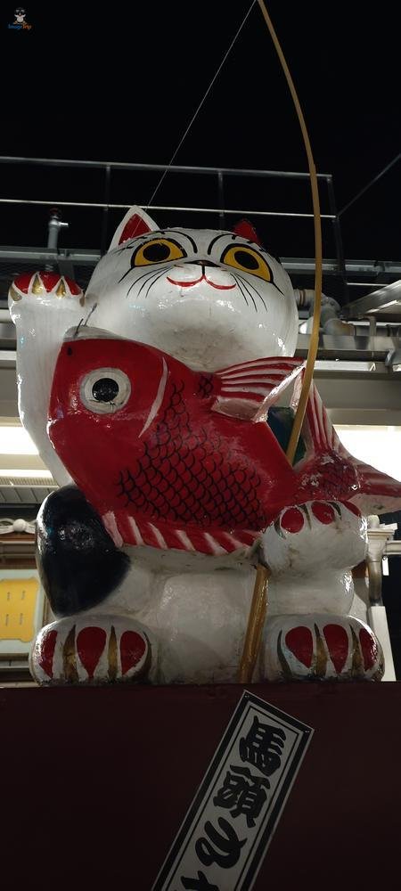 Centro Turistico 1