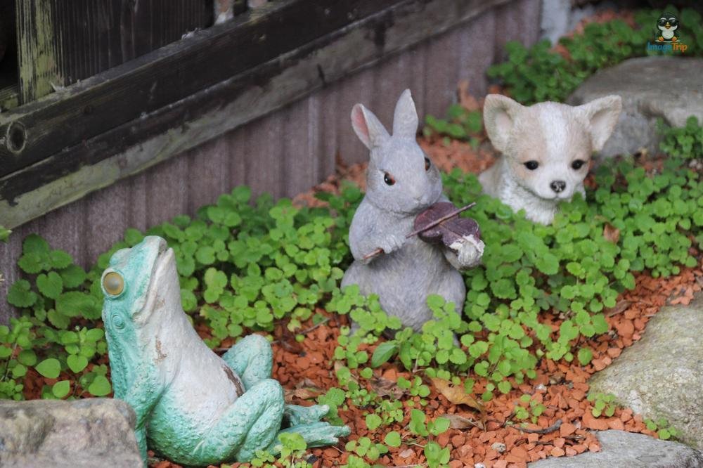 Centro Turistico 1