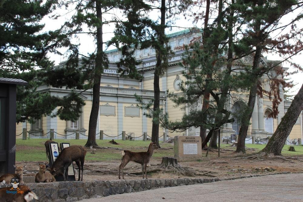 Centro Turistico 1