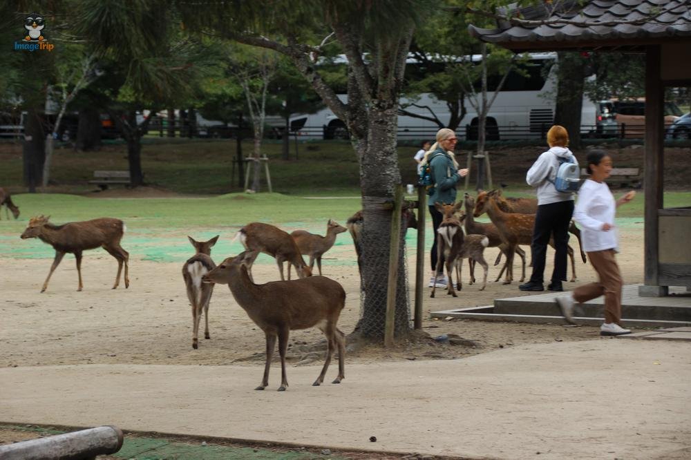 Centro Turistico 1