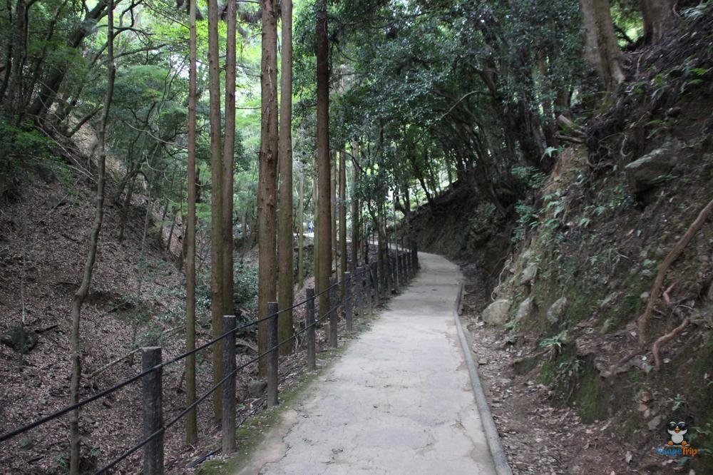 Centro Turistico 1