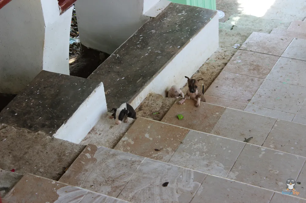 4 Budas Kyaik Pun 15