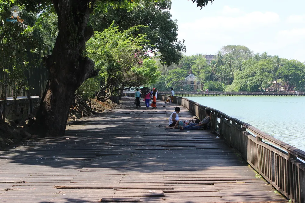 Kandawgyi Park 31