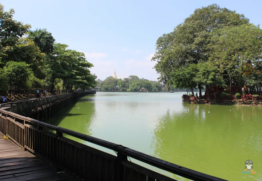 Kandawgyi Park 28