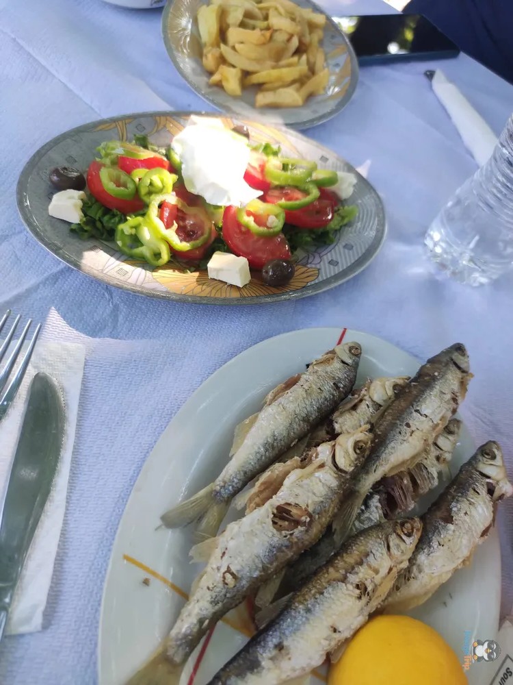 Komani_Lake_comida_2