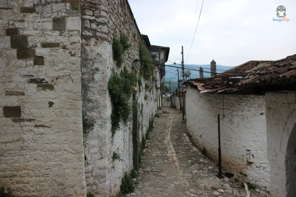 Berat_Gorica_1