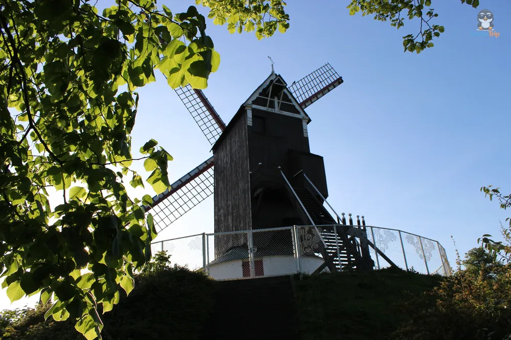 Kruisvest 5