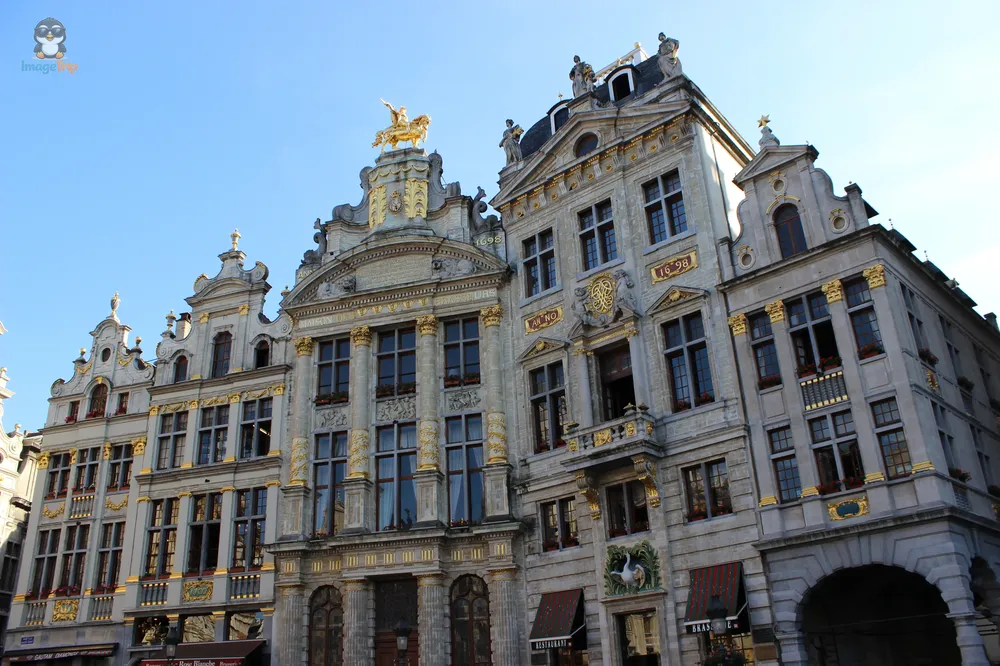 Grand Place 11