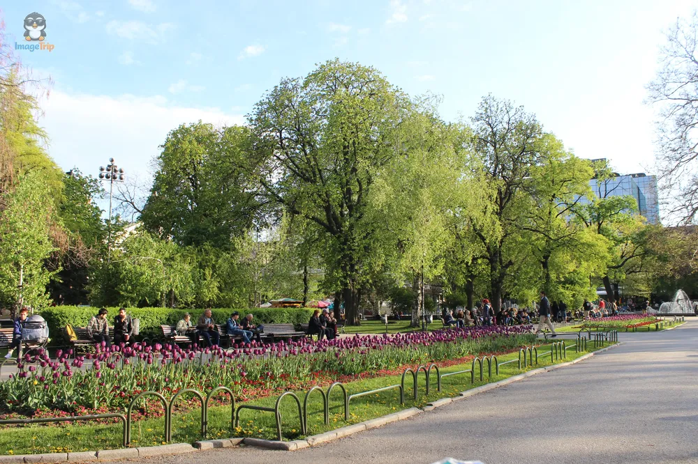 Sofía City Garden 1